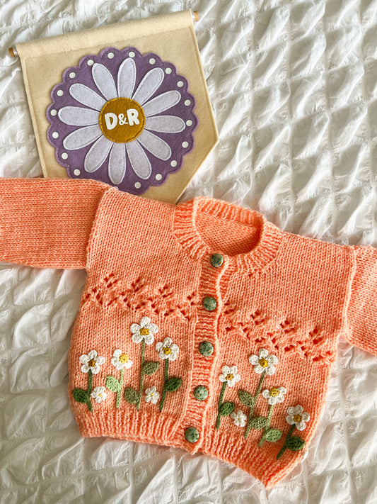 Daisy Daisy 3-6 months