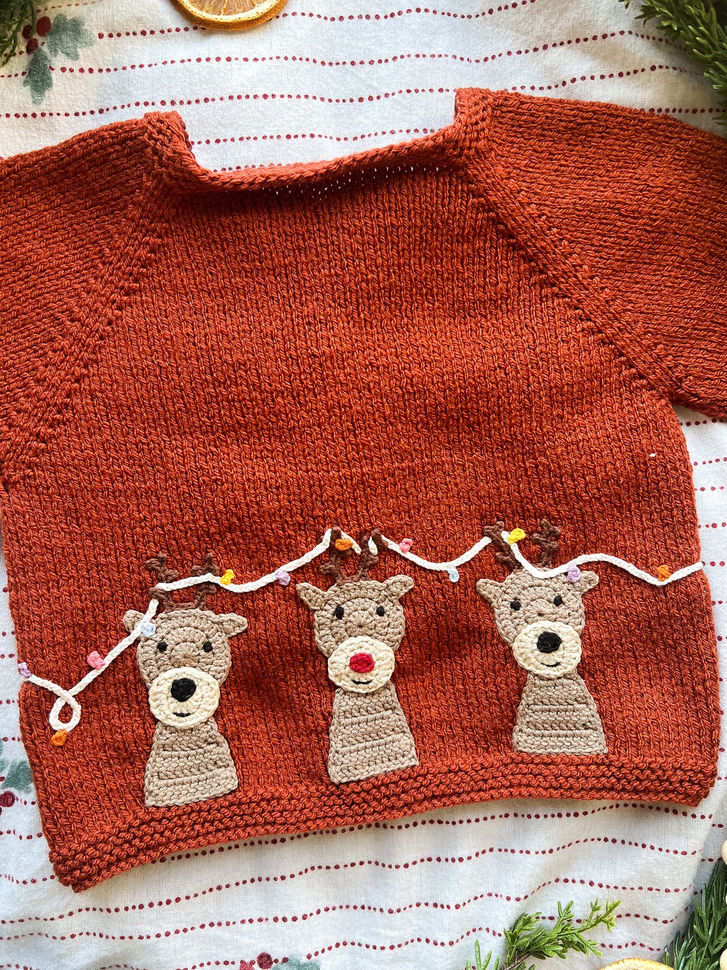 Rudolph and Friends - 2-3 Year